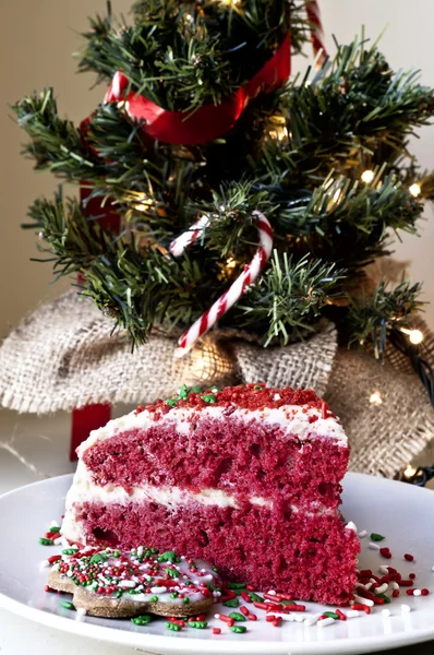 Christmas cake and decoration — Stock Photo, Image