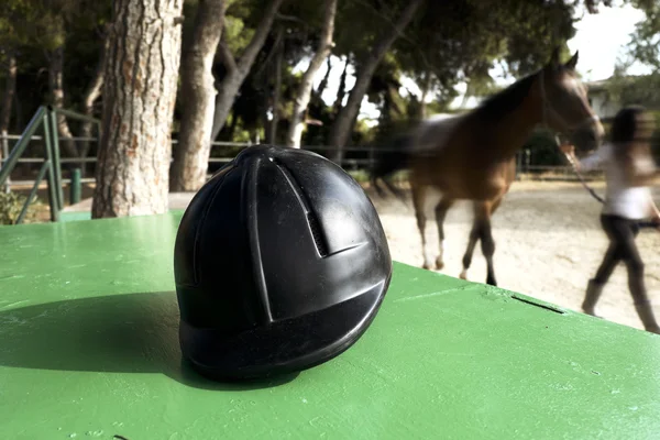 乗馬のヘルメット ロイヤリティフリーのストック写真