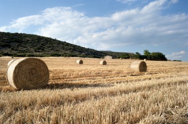 Çiftlik arazisinde saman balyaları