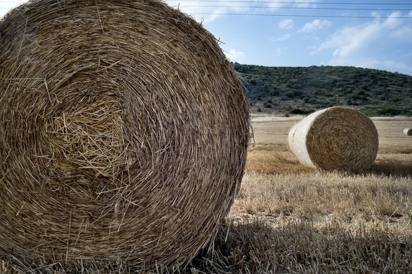 Straw bales in a farmland — Stock Photo, Image