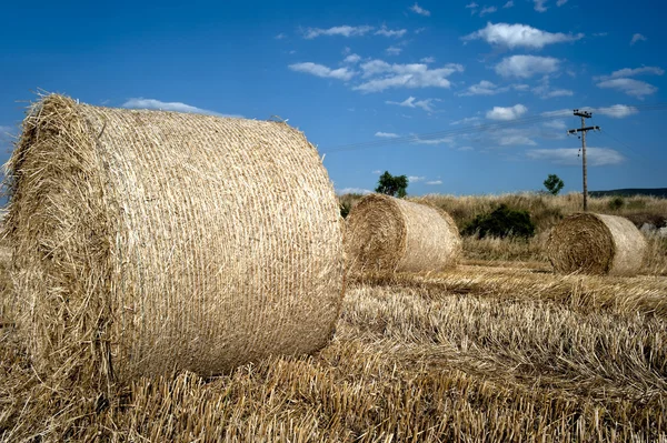 Straw bales in a farmland — Stock Photo, Image