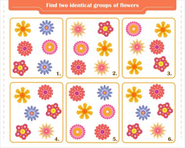 Çocuklar için bir oyun. İlginin gelişimi. İki özdeş çiçek grubu bul