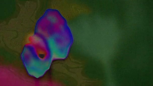Żywy Jasny Kolor Animacja Abstrakcyjne Kwiaty Roślin Ruch — Wideo stockowe