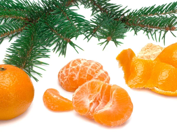 Tangerines and spruce branches — Stock Photo, Image