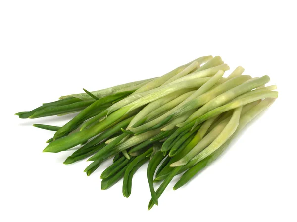 Allium ursinum, known as wild garlic, ramsons, buckrams, broad-leaved garlic, wood garlic, bear leek or bears garlic. — Stock Photo, Image