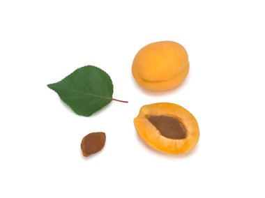 Beyaz zemin üzerinde yaprak ve taş olan olgun turuncu kayısı. İzole edilmiş