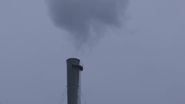 Large Factory Chimney With Smoke — Stock Video