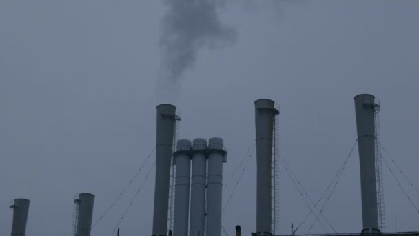 Tubo de planta con humo — Vídeo de stock