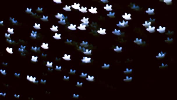 Lampeggiante stelle blu Bokeh su uno sfondo nero — Video Stock