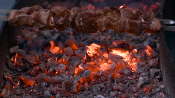 Viande frite sur brochettes sur charbon de bois — Video