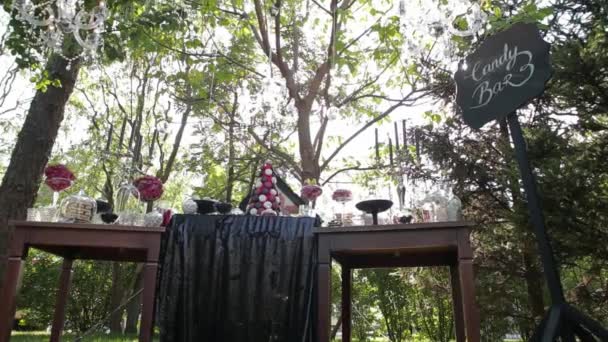 Регистрационный стол на свадьбе под открытым небом — стоковое видео