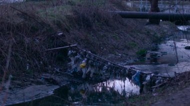 Çevre kirliliği nedeniyle durgun su