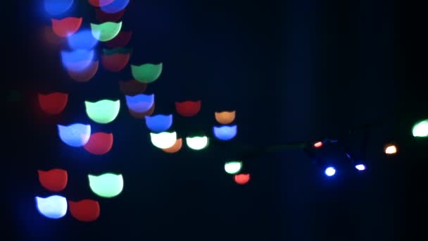 Éléments clignotants lumineux Muselière Bokeh Cat — Video