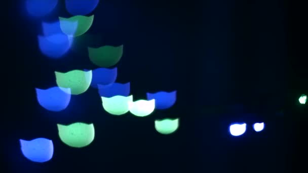 Éléments clignotants lumineux Muselière Bokeh Cat — Video