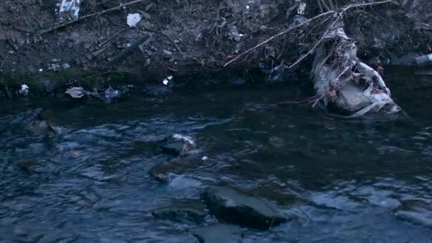 Förorenat vatten är en liten flod — Stockvideo