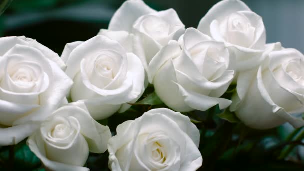 A Bouquet of White Roses — Stock Video