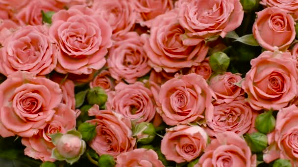 Большой букет розовых роз — стоковое видео