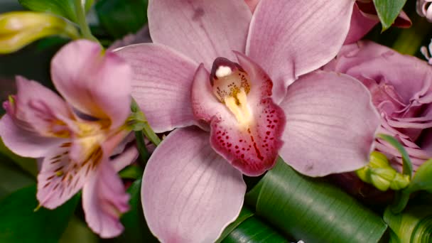 Roze orchidee in het boeket, bovenaanzicht — Stockvideo