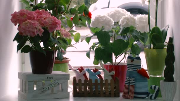 Decoration Windowsill Flowers In Pots And Toys Stock Video