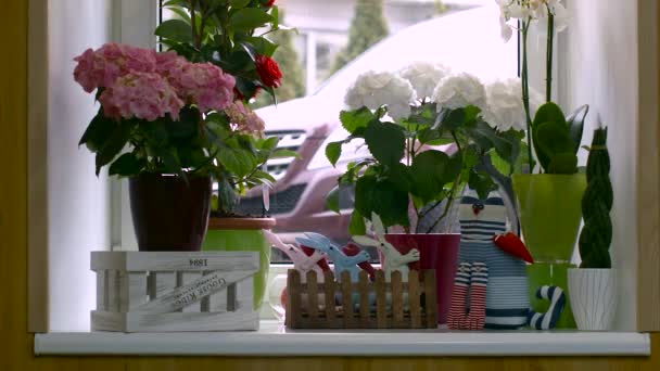 Alféizar de ventana blanco con flores en macetas y juguetes — Vídeo de stock