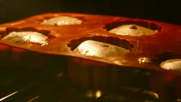 Baka muffins i ugnen — Stockvideo