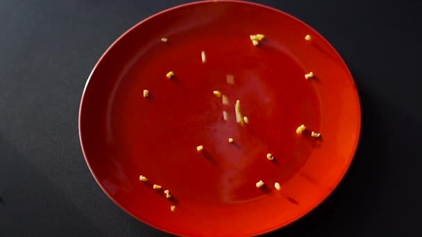 Alfabeto della pasta cruda versato nel piatto — Video Stock