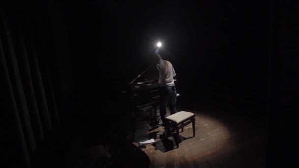 Link met de Piano en de Pianist op een Concert — Stockvideo