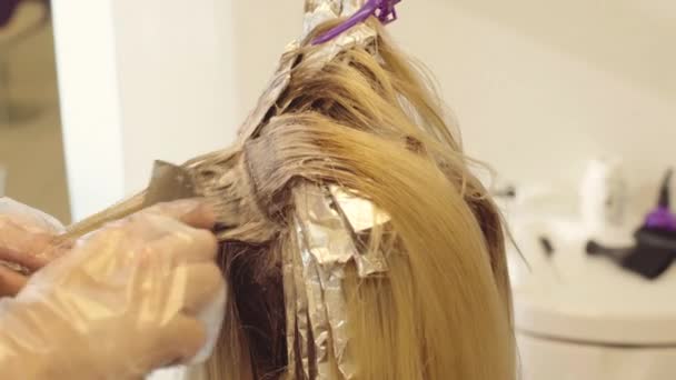 Peluquería teñir el cabello — Vídeo de stock