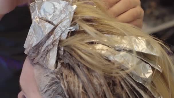 Hairdresser Dye the Hair — Stock Video