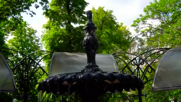 Fontaine dans le parc — Video