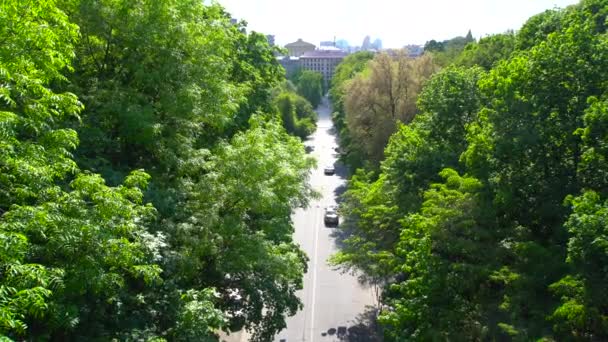 Autos fahren auf der Straße zwischen Bäumen — Stockvideo