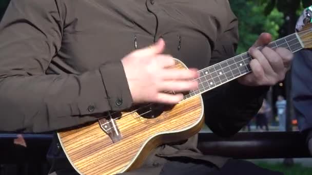 Músico tocando en el parque con una pequeña guitarra — Vídeo de stock