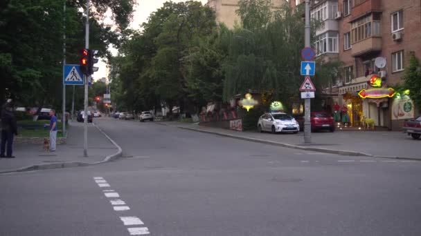 Sportler laufen Marathon in der Großstadt — Stockvideo