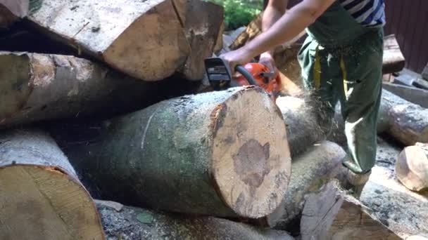 Hombre aserrando un tronco de motosierra de madera — Vídeos de Stock