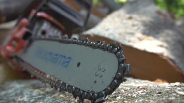 Chipper Diş Stili Kesme Bıçakları