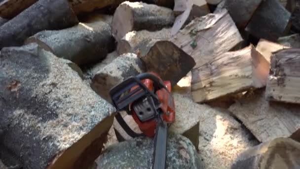 Sierra eléctrica alimentada por gasolina que yace sobre una pila de madera — Vídeo de stock