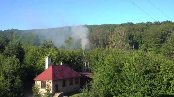 Густий дим піднімається з димоходу — стокове відео