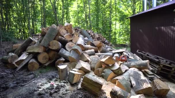 Gran montón de madera picada después de coser — Vídeo de stock