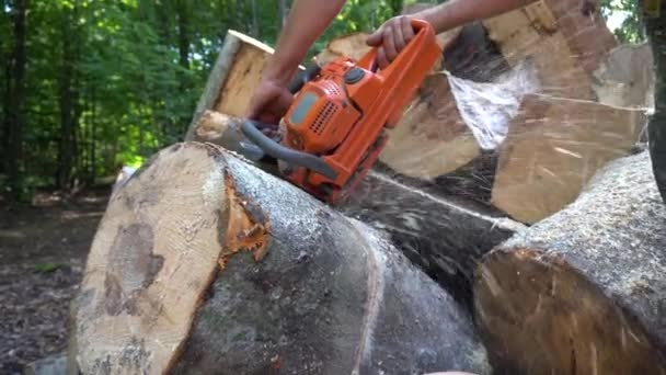 Homem corte de madeiras — Vídeo de Stock