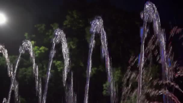 Fontaine à jet mince dans le parc de nuit — Video