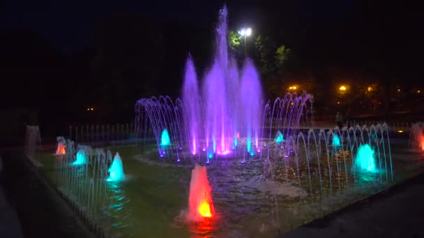 Una fontana di notte variopinta — Video Stock