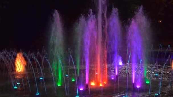 Multicolored Fountain and Lots of Jets Ascend — Stock Video