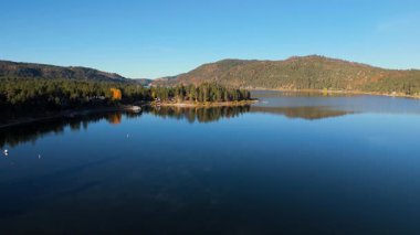 Büyük Ayı Gölü 'nün üzerinde uçan drone, sakin yansıtıcı suyla çevrili küçük bir orman yarımadasını ve berrak mavi gökyüzünün altındaki uzak dağları yakalıyor. Sabah ışığı doğal güzelliği vurgular.