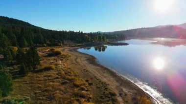 Güney Kaliforniya 'daki Big Bear Gölü' nde sonbahar kıyı şeridi ve ormanın insansız hava aracı görüntüleri sakin yansıtıcı su, altın bitki örtüsü ve sabah güneşi gösteriyor. Kamera ileri doğru süzülüyor.