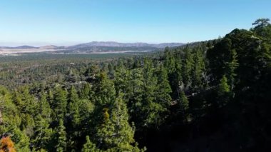 Hava aracı görüntüleri, Güney Kaliforniya 'daki Büyük Ayı bölgesinin dağları ve vadileri boyunca uzanan yoğun çam ormanlarının geniş bir görüntüsünü ortaya çıkarıyor. Kamera sürekli ileri doğru hareket ediyor.