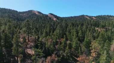İHA görüntüleri, Güney Kaliforniya dağlık arazilerindeki dağlık yamaçların üzerinden geçen bir hava uçağını yakalıyor. Kamera çam ağaçları, engebeli tepeler ve doğal bitki örtüsü boyunca ilerler.