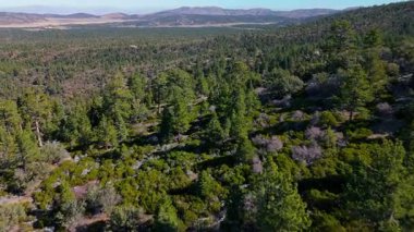 Kaliforniya 'daki Big Bear Gölü yakınlarındaki yoğun çam ormanları ve dağ sırtları üzerinde uçan hava aracı görüntüleri. Manzara doğal dokuları, engebeli yamaçları ve yüksek irtifadaki geniş manzaraları yakalar.