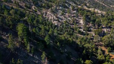 İnsansız hava aracı, Kaliforniya 'daki Big Bear Gölü' nde çam ağaçları ve dağınık kuru çalılarla kaplı engebeli bir dağ yamacının aşağı bakan görüntüsünü yakalıyor. Kamera yamaçta sorunsuzca hareket ediyor.