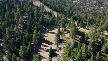 İlerleyen bir insansız hava aracı çekimi, Kaliforniya 'daki Big Bear Gölü' nde yoğun çam ormanlarından geçen bir kayak yamacını gösteriyor. Manzarada dağlık arazi, yemyeşil ağaçlar ve görülebilir ağaçlar bulunur.