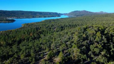 San Bernardino Dağları, Kaliforniya 'daki Büyük Ayı Gölü' ne bakan orman tepelerinin insansız hava aracı görüntüsü. Yoğun yeşil ormanlık, sakin mavi su ve berrak gün ışığı altındaki uzak dağ sırtları.